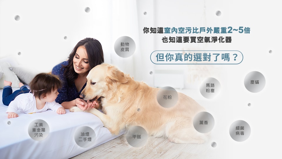 3M™ 淨呼吸™ 倍淨系列空氣清淨機 FAPHK-T03WA-F3：室內空汙比戶外嚴重2~5倍，甲醛、塵螨、油煙二手煙、薰香、花粉、動物皮屑、細菌病毒、馬路粉塵、工業重金屬汙染