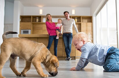 Get Rid of Household Odors